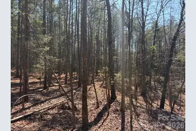 12.68 Acre 99 Road, Blair, SC 29015 - Photo 32