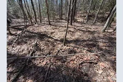 12.68 Acre 99 Road, Blair, SC 29015 - Photo 14