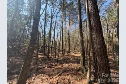 12.68 Acre 99 Road, Blair, SC 29015 - Photo 12