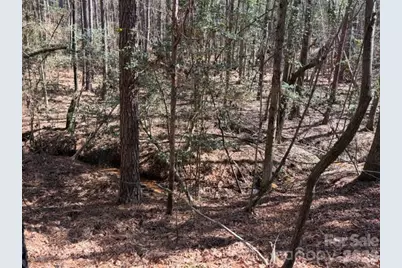 12.68 Acre 99 Road, Blair, SC 29015 - Photo 22