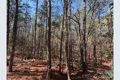12.68 Acre 99 Road, Blair, SC 29015 - Photo 8