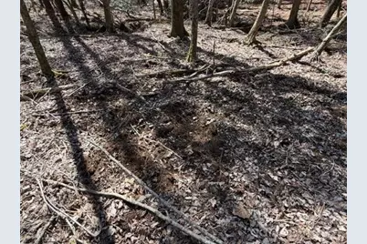 12.68 Acre 99 Road, Blair, SC 29015 - Photo 26