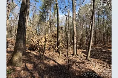 12.68 Acre 99 Road, Blair, SC 29015 - Photo 24