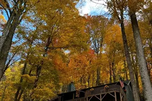 46 Hummingbird Dr, Maggie Valley, NC 28751 - Photo 34