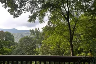 46 Hummingbird Dr, Maggie Valley, NC 28751 - Photo 36