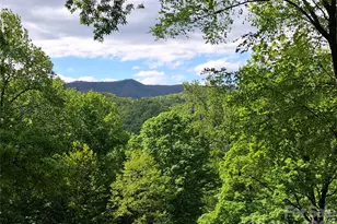 46 Hummingbird Dr, Maggie Valley, NC 28751 - Photo 4