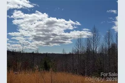 304 Woodview Farm Trail, Rutherfordton, NC 28139 - Photo 2