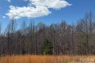 304 Woodview Farm Trl, Rutherfordton, NC 28139 - Photo 4