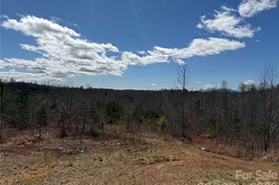 304 Woodview Farm Trl, Rutherfordton, NC 28139 - Photo 8