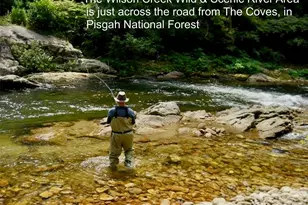 4374 Poplar Bluff Dr, Lenoir, NC 28645 - Photo 46