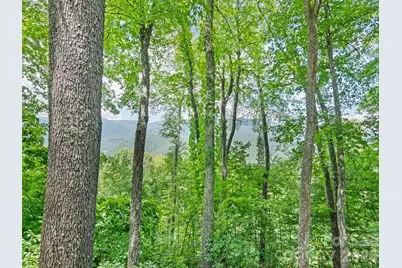 1672 Summit Drive, Maggie Valley, NC 28751 - Photo 14