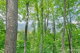 1672 Summit Dr, Maggie Valley, NC 28751 - Photo 14