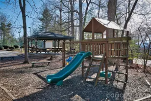1105 High Vista Dr, Mills River, NC 28759 - Photo 42