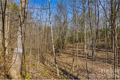 7710 Long Bay Parkway #6, Catawba, NC 28609 - Photo 8