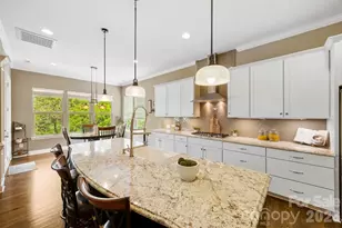 14119 Salem Ridge Rd, Huntersville, NC 28078 - Photo 6