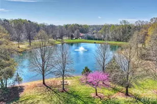 1715 Lillywood Ln, Indian Land, SC 29707 - Photo 38