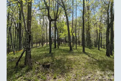 27 Woodtrail Way #24B, Arden, NC 28704 - Photo 4