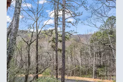 294 Verbena Drive, Black Mountain, NC 28711 - Photo 28