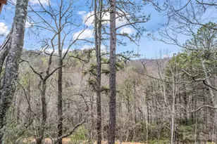 294 Verbena Dr, Black Mountain, NC 28711 - Photo 28