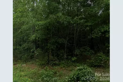 0 Shoe Heel Street W, Maxton, NC 28364 - Photo 2