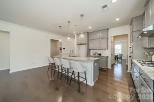 1032 Argentium Way, Waxhaw, NC 28173 - Photo 10