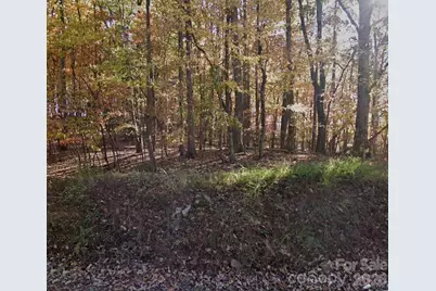 0 Chestnut Ridge Road, Pilot Mountain, NC 27041 - Photo 2
