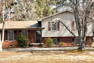 769 Dowd Rd, Candor, NC 27229 - Photo 1