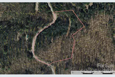 Tbd Deer Run Road #227, Purlear, NC 28665 - Photo 12