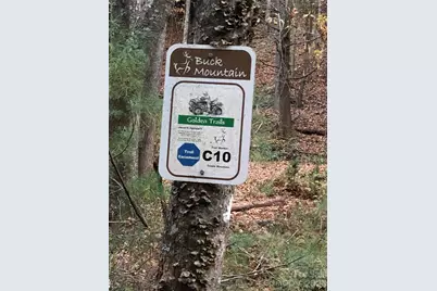 Tbd Deer Run Road #227, Purlear, NC 28665 - Photo 40