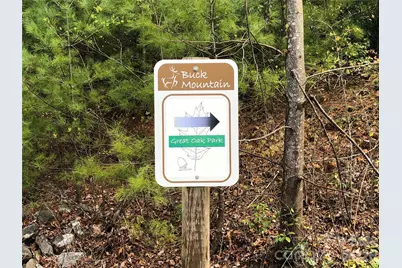 Tbd Deer Run Road #227, Purlear, NC 28665 - Photo 24