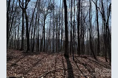 Tbd Deer Run Road #227, Purlear, NC 28665 - Photo 2