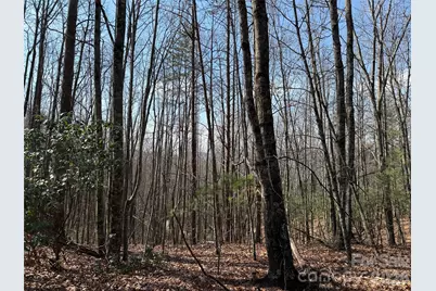 Tbd Deer Run Road #227, Purlear, NC 28665 - Photo 6