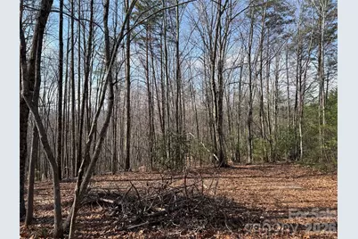 Tbd Deer Run Road #227, Purlear, NC 28665 - Photo 4