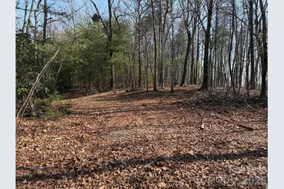 Tbd Deer Run Road #227, Purlear, NC 28665 - Photo 8