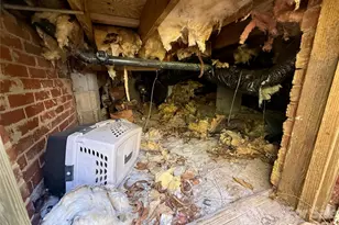 4215 Dinglewood Ave, Charlotte, NC 28205 - Photo 18