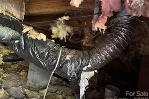 4215 Dinglewood Ave, Charlotte, NC 28205 - Photo 20