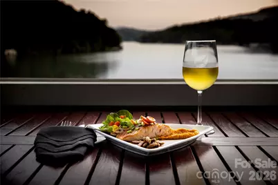 128 Quail Run Court #1626, Lake Lure, NC 28746 - Photo 30