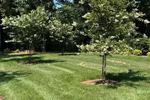 4231 Piaffe Ave, Mint Hill, NC 28227 - Photo 8