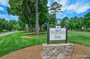 4231 Piaffe Ave, Mint Hill, NC 28227 - Photo 44