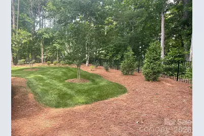 4231 Piaffe Avenue, Mint Hill, NC 28227 - Photo 6