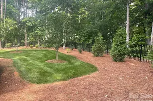 4231 Piaffe Ave, Mint Hill, NC 28227 - Photo 6