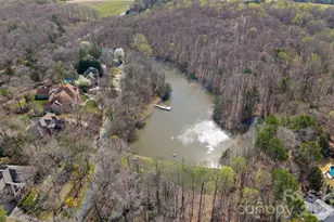 13436 Scanlan Way, Davidson, NC 28036 - Photo 46