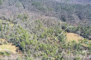 261 Maga Ln, Brevard, NC 28712 - Photo 30