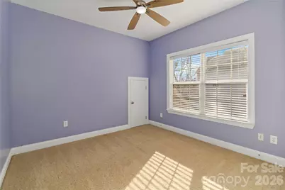 3908 Hazel Downe Way, Rock Hill, SC 29732 - Photo 16