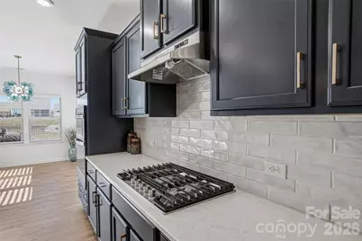 40184 Crooked Stick Drive #1231, Lancaster, SC 29720 - Photo 14