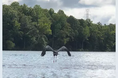 140 Picasso Trail, Mount Holly, NC 28120 - Photo 26