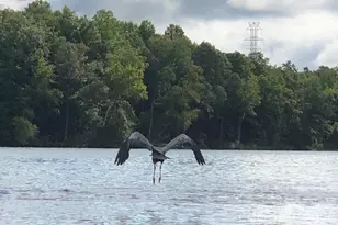 140 Picasso Trl, Mount Holly, NC 28120 - Photo 26