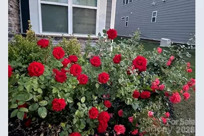 140 Picasso Trail, Mount Holly, NC 28120 - Photo 28