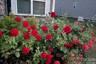 140 Picasso Trl, Mount Holly, NC 28120 - Photo 28