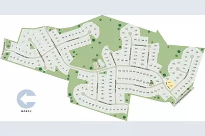 2448 Chartwell Street, Stanley, NC 28164 - Photo 8